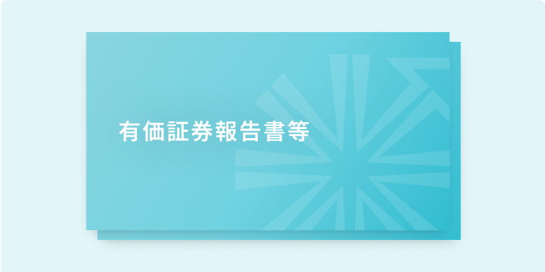 有価証券報告書等