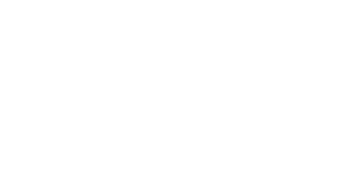 カブトムシ！